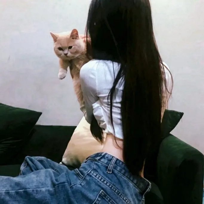小蜜蜂 勇气的旋律